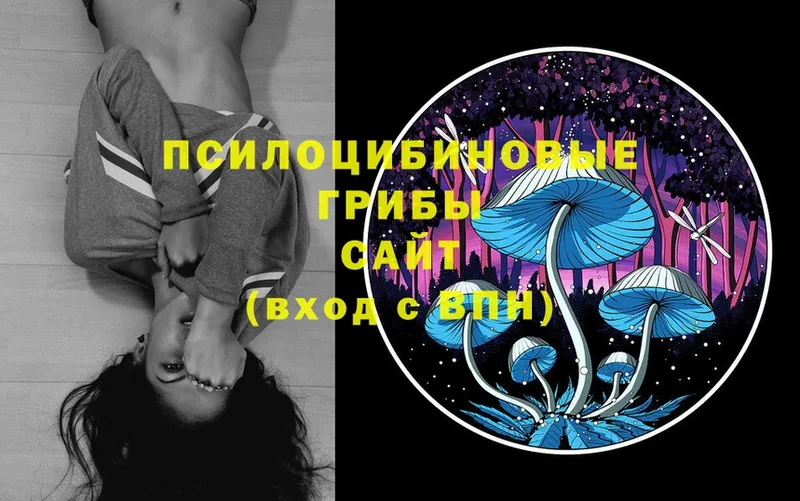 Псилоцибиновые грибы Psilocybe  Мытищи 